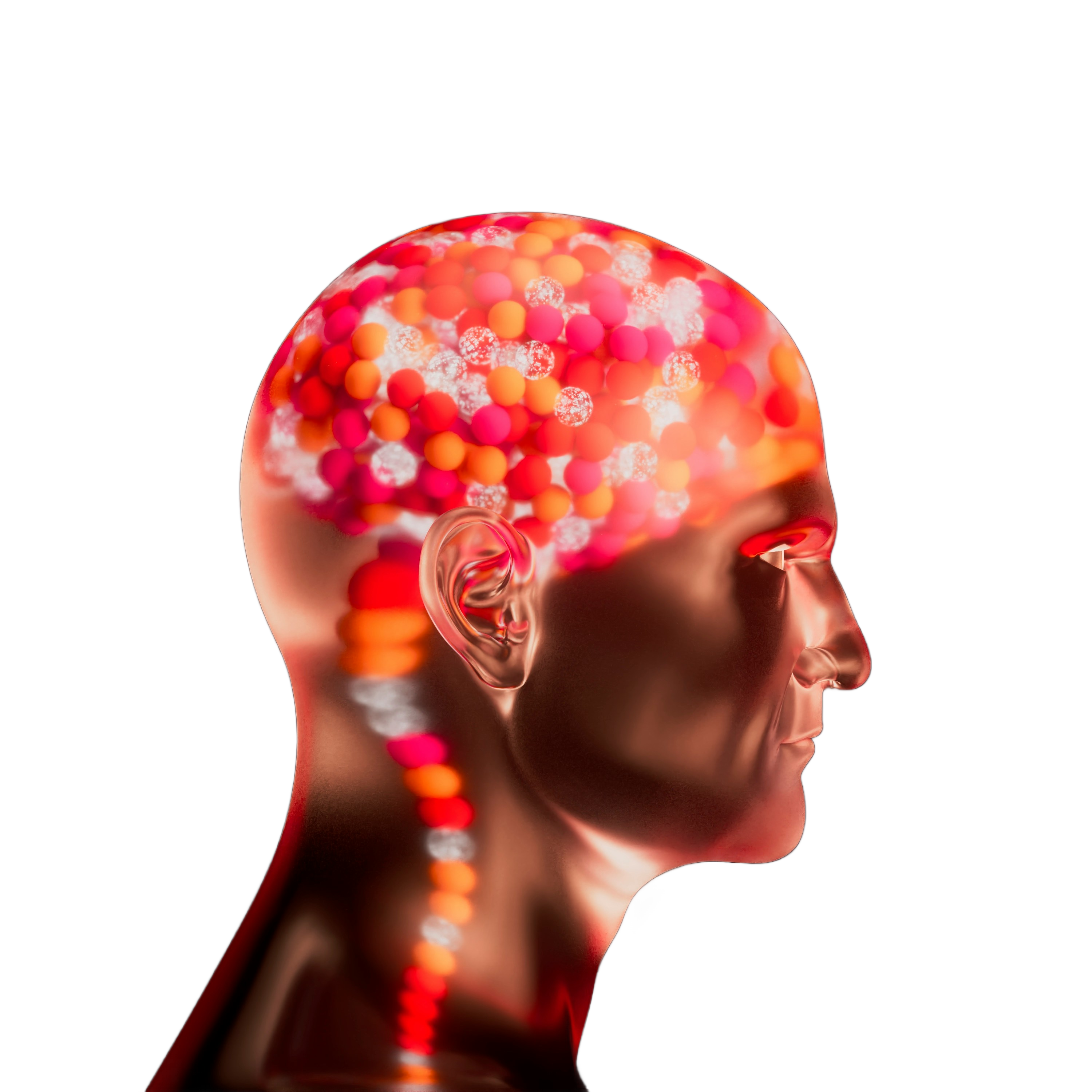 Cognitive Bias